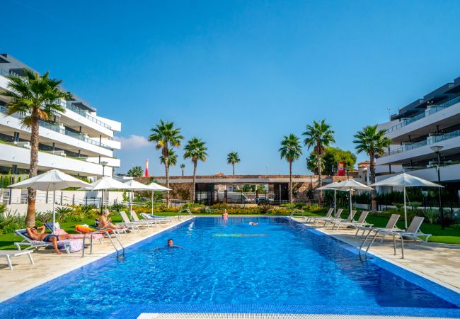 Ferienwohnung in Orihuela Costa - HE Flamenca Village Ferienwohnung in Orihuela Costa - HE Flamenca Village